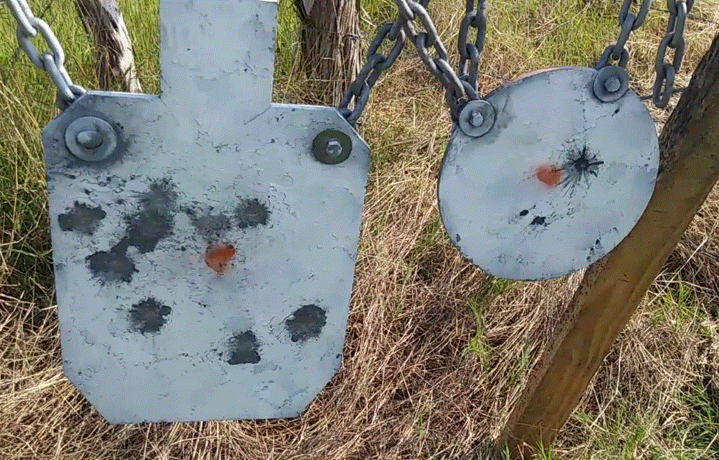 [Image: 65GrentalMetalTargets310yds.GIF]